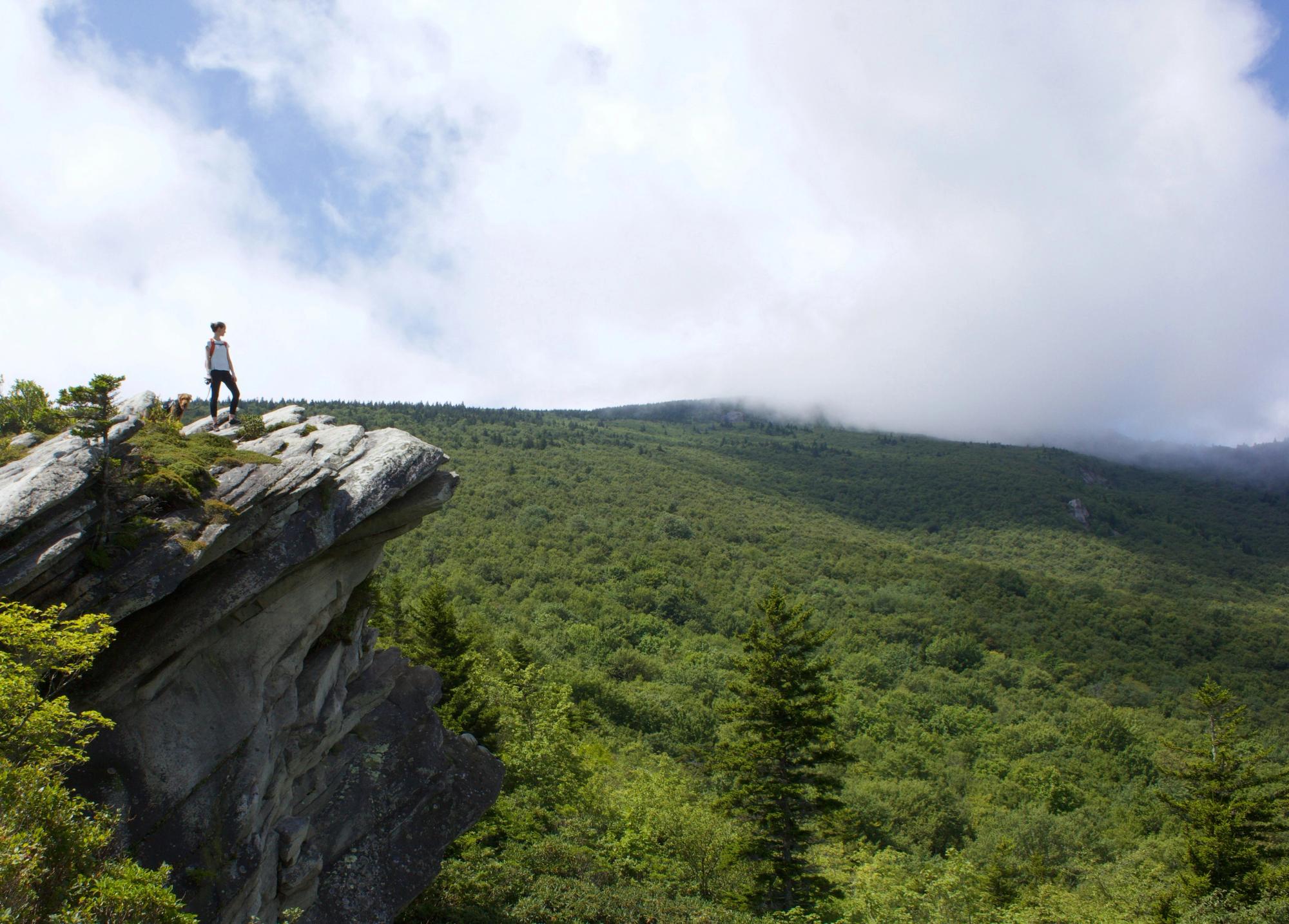 A hiker and their dog stand triumphantly on a rocky outcrop overlooking a vast, forested mountain range partially covered in mist and clouds.