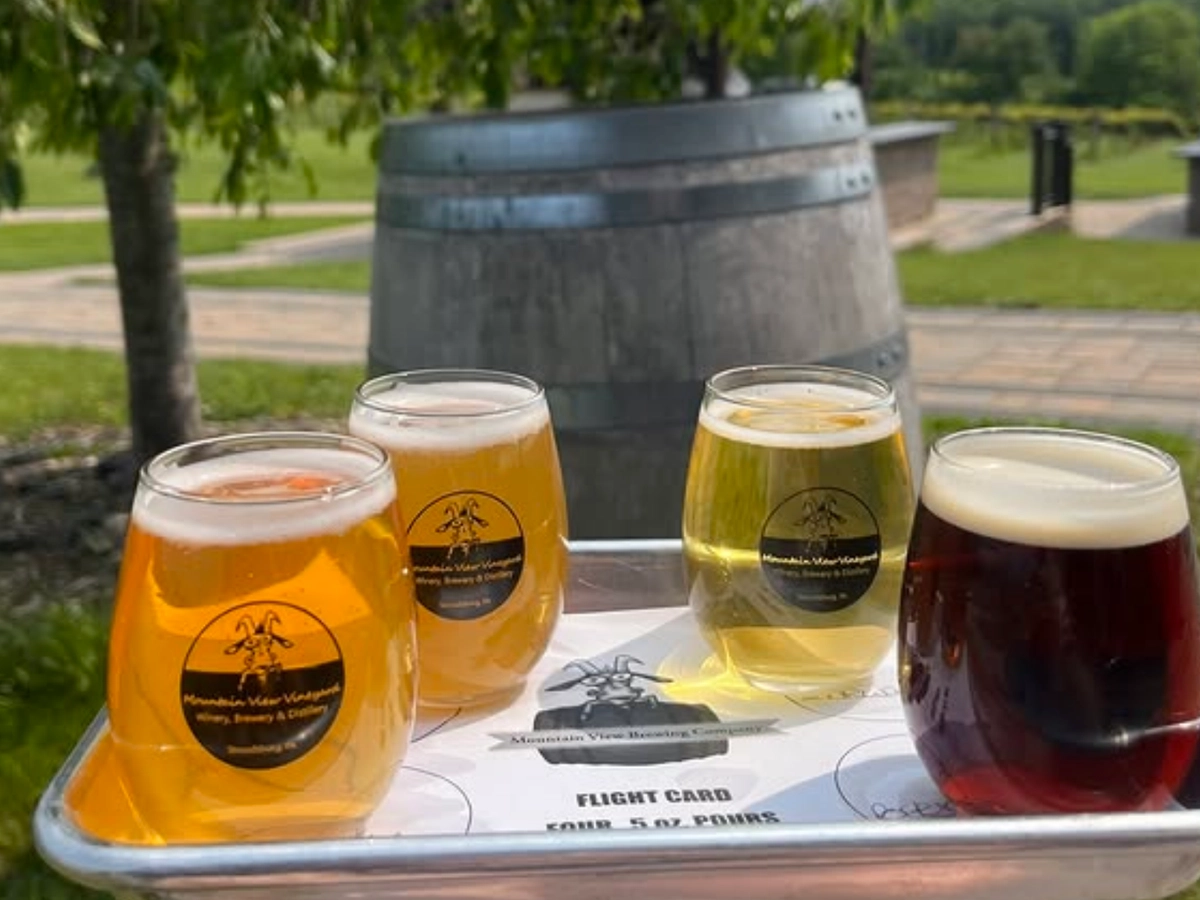A tray holding four small glasses of craft beer in a tasting flight, set outdoors near a vineyard with a wooden barrel and greenery in the background.