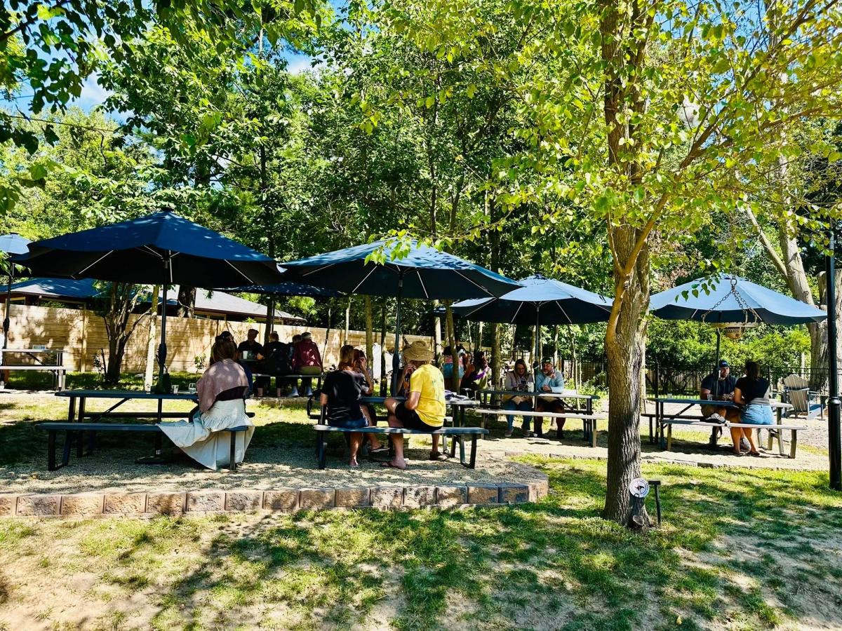 Visitors relax at picnic tables shaded by navy umbrellas in a leafy, tree-filled garden patio at Solasta Winery. Dappled sunlight filters through the green canopy as guests sip wine and chat on a warm summer day
