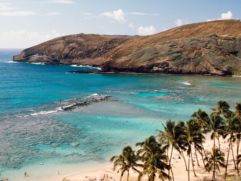 A wide view of Hanauma Bay, with turquoise water, coral reefs, and people swimming near a golden sand beach lined with palm trees. This peaceful cove on Oahu is a favorite for snorkeling and family beach days.