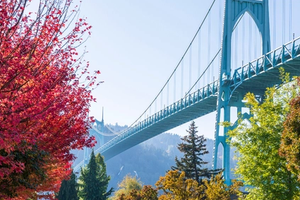 View of St. Johns Bridge in Portland, OR Surounded by Fall Colors.