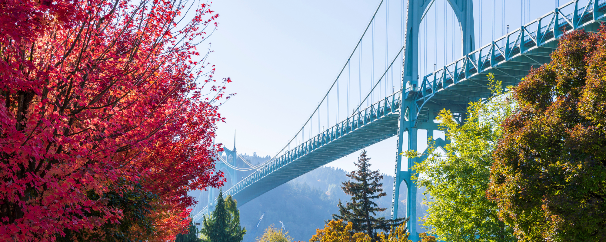 View of St. Johns Bridge in Portland, OR Surounded by Fall Colors.