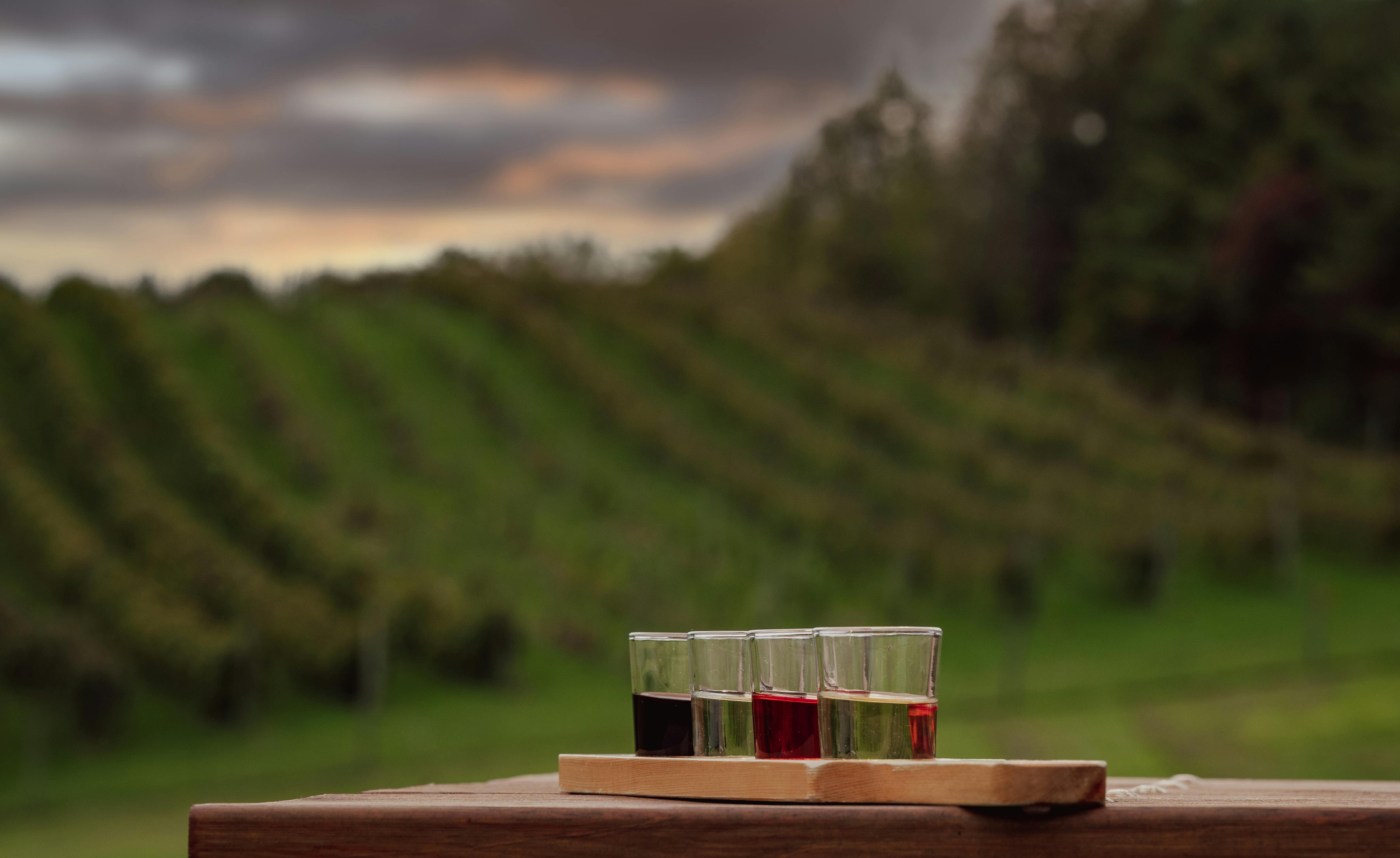 A flight of colorful drinks rests on a wooden table overlooking rolling vineyards and a dramatic sunset sky. It’s a relaxing countryside moment that captures the spirit of local flavor and good company.