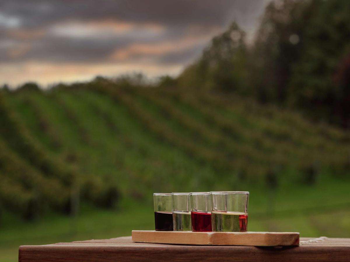 A flight of colorful drinks rests on a wooden table overlooking rolling vineyards and a dramatic sunset sky. It’s a relaxing countryside moment that captures the spirit of local flavor and good company.
