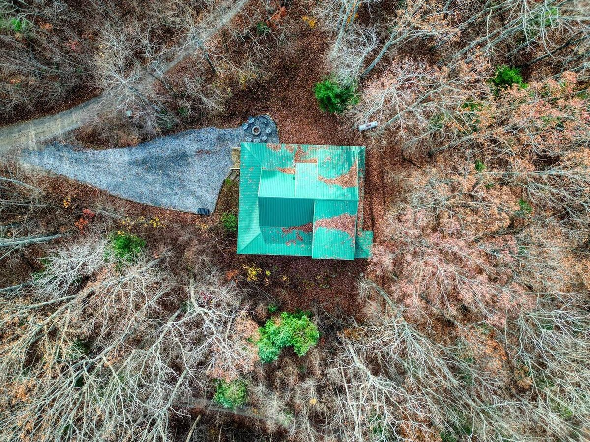 Aerial view of a small green-roofed cabin surrounded by bare autumn trees, with a gravel driveway leading to a firepit area in the forest.