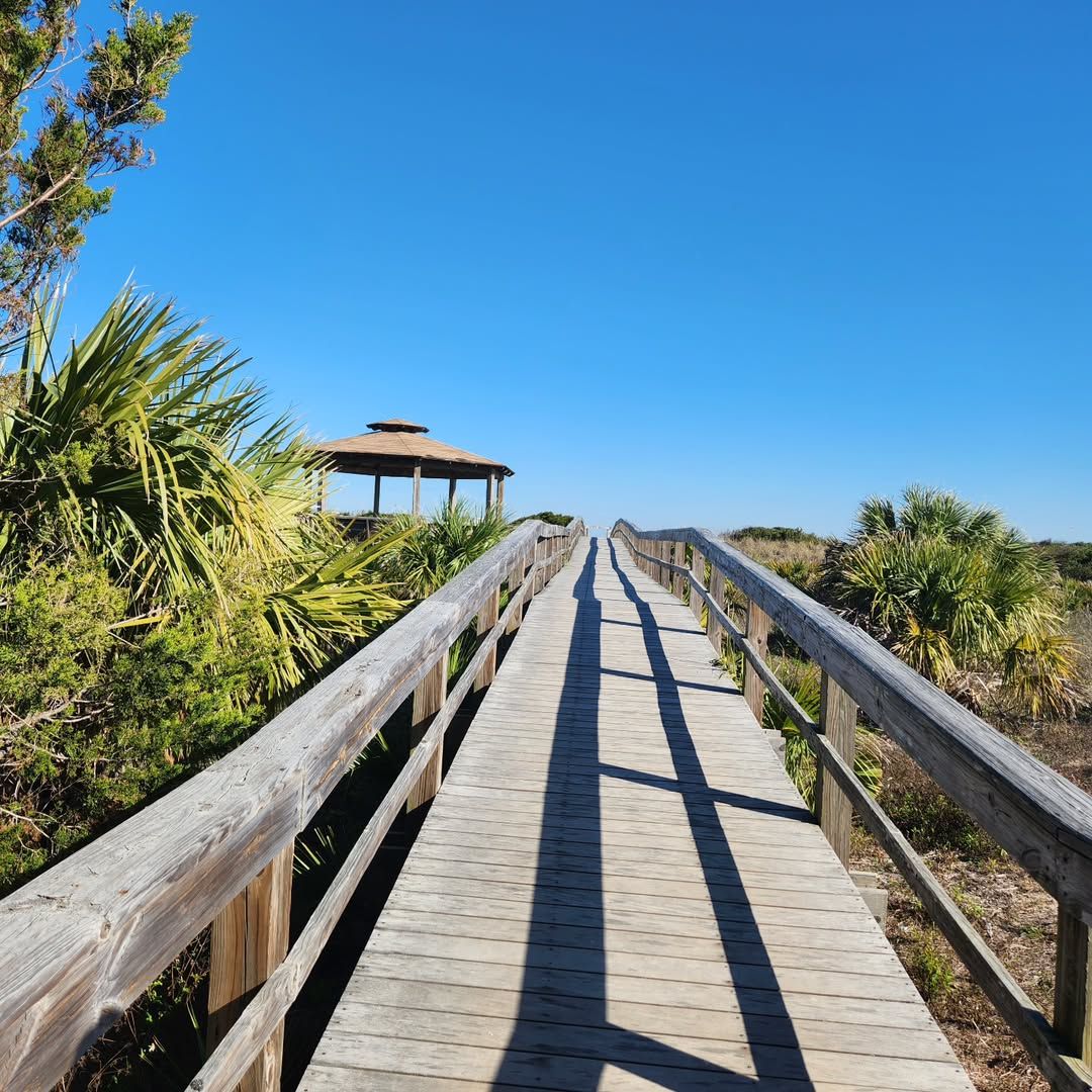 A wooden boardwalk stretches toward Tybee Island’s North Beach, framed by palm trees and coastal greenery. The bright blue sky adds to the peaceful seaside atmosphere, perfect for a morning stroll or sunset view.