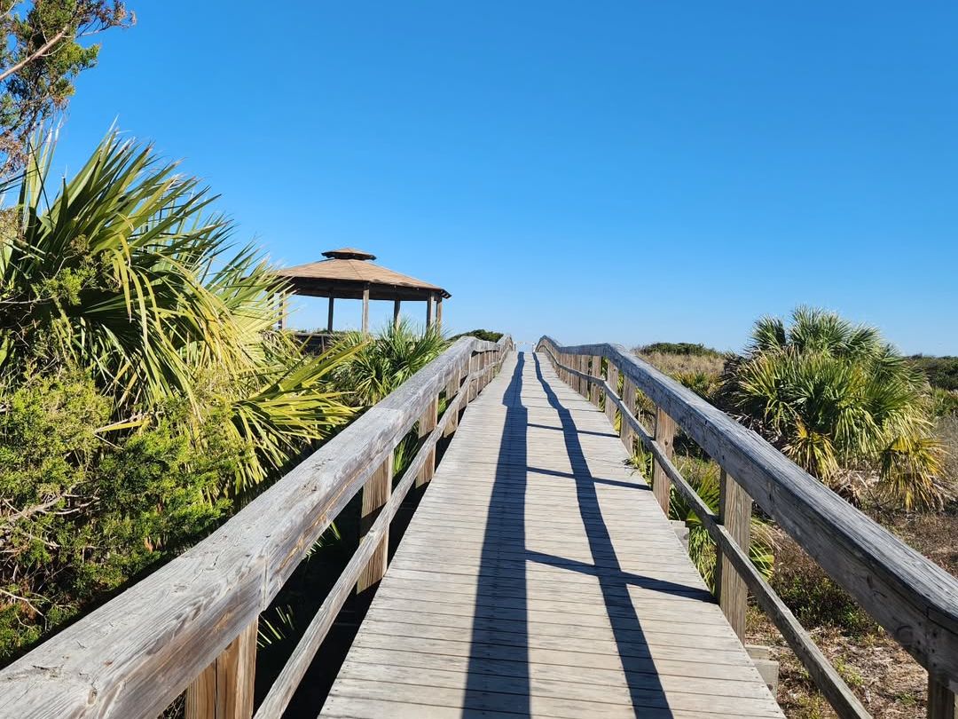 A wooden boardwalk stretches toward Tybee Island’s North Beach, framed by palm trees and coastal greenery. The bright blue sky adds to the peaceful seaside atmosphere, perfect for a morning stroll or sunset view.