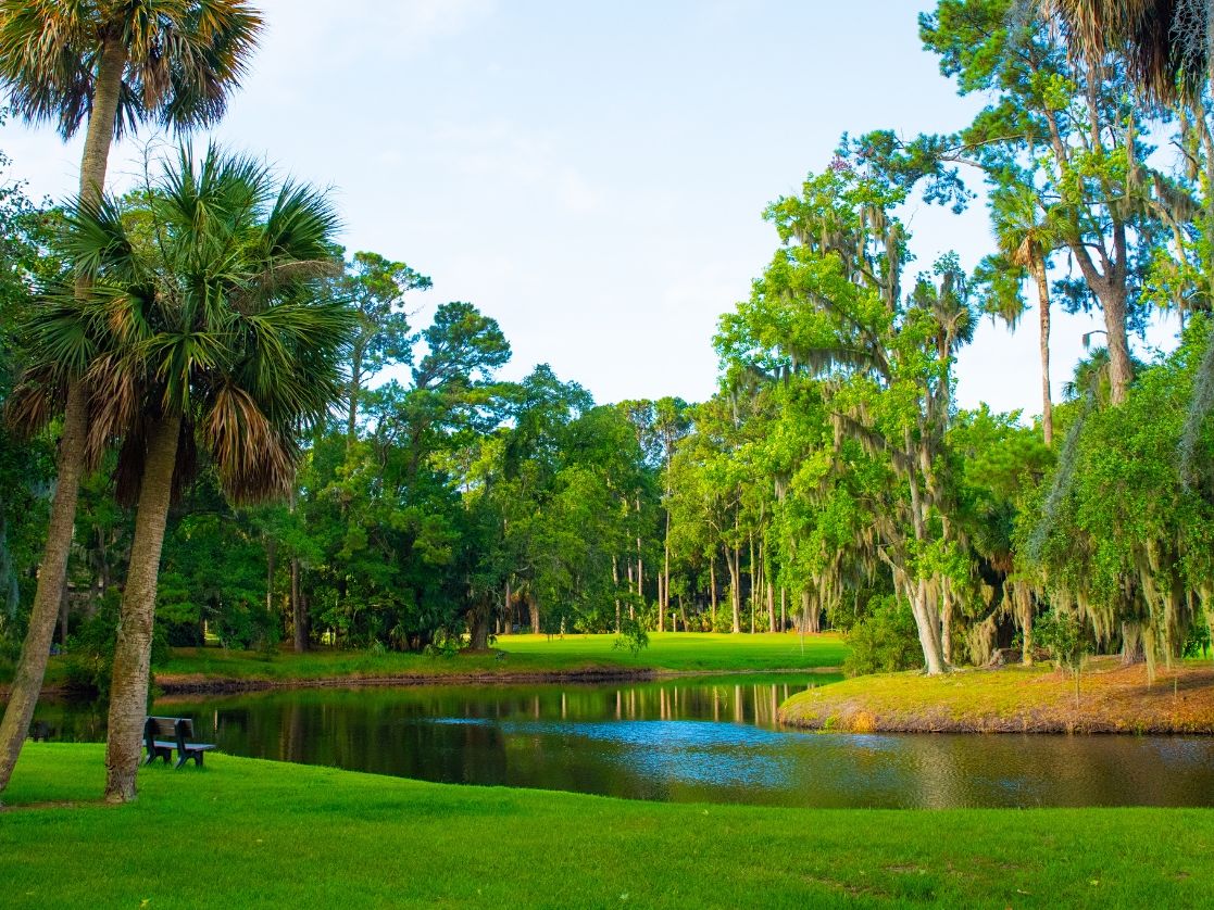 View of Marsh Near Golf Course On Hilton Head Island, SC