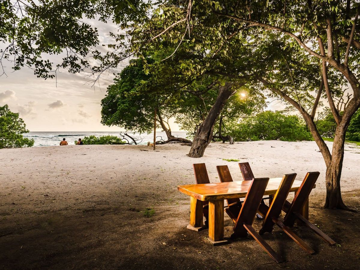 Wooden dining table under the trees by a quiet sandy beach, with ocean views in the background. A peaceful spot to relax, eat, or watch the sun go down.