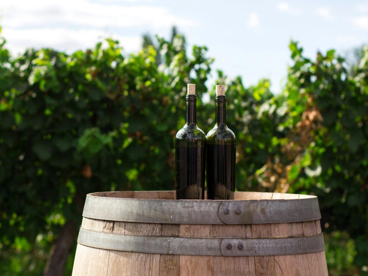 Two wine bottles on top of barrel with bushes in the background