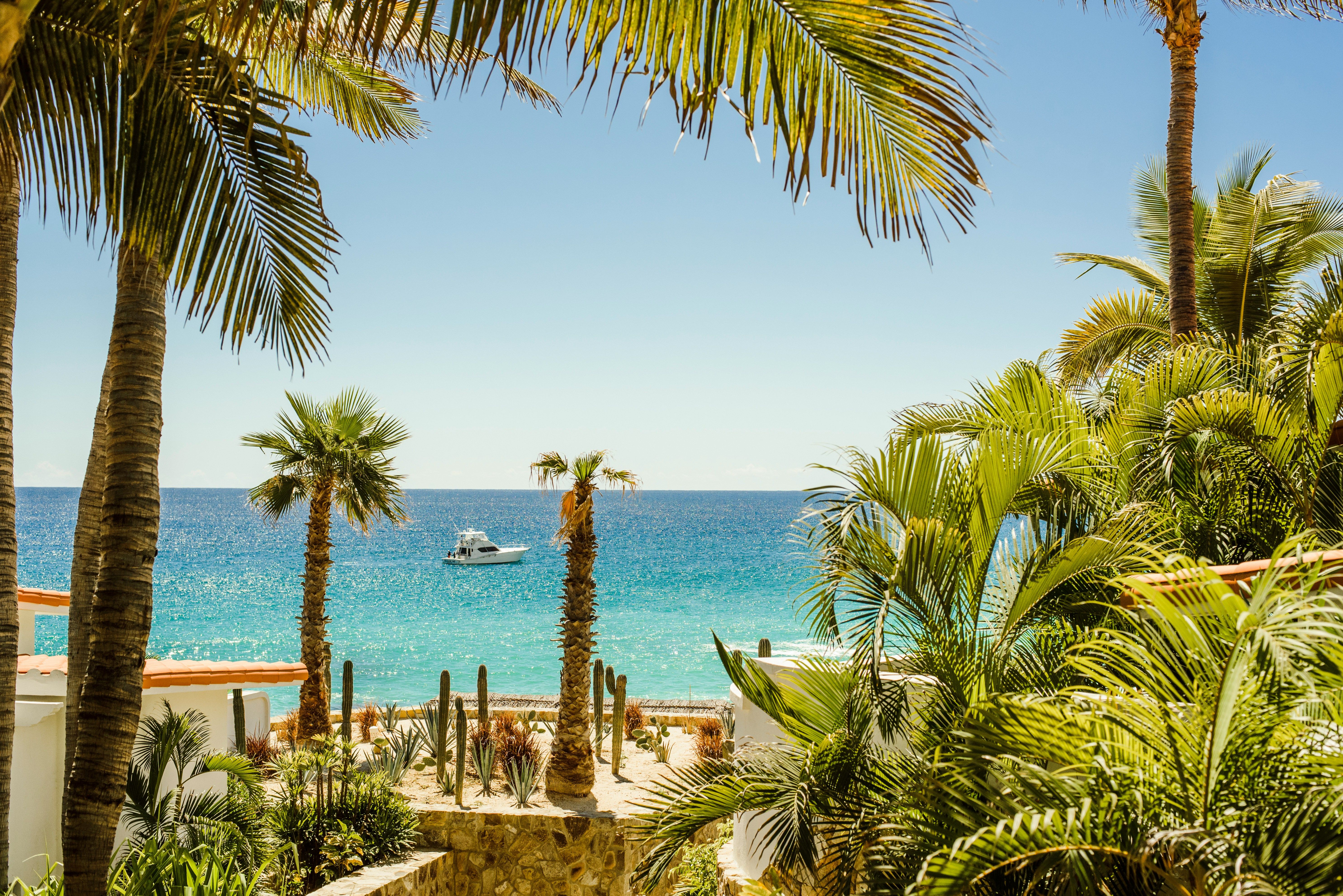 A bright tropical beachfront framed by towering palm trees, with turquoise water stretching to the horizon and a small boat floating offshore beneath a clear blue sky.