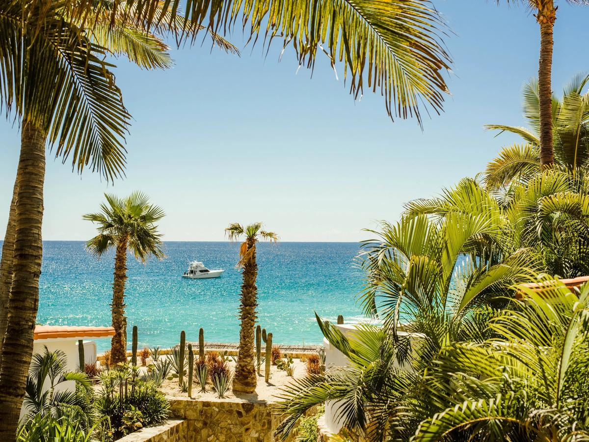 A bright tropical beachfront framed by towering palm trees, with turquoise water stretching to the horizon and a small boat floating offshore beneath a clear blue sky.