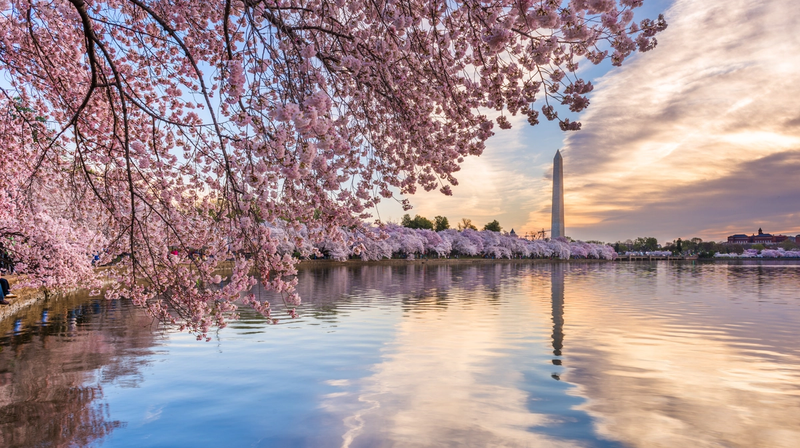 Quick Getaways from D.C.: Seven Ideas for Long Weekend Road Trips