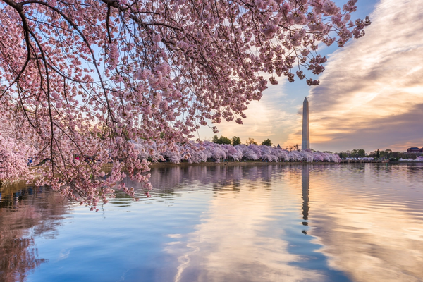 Quick Getaways from D.C.: Seven Ideas for Long Weekend Road Trips