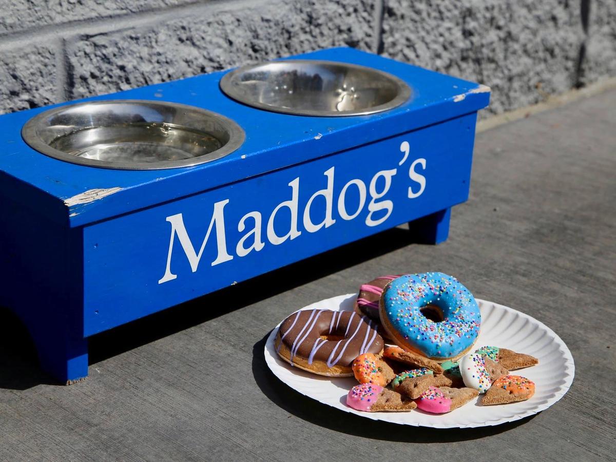 A dog-friendly restaurant offering colorful, donut-shaped treats and snacks made for pets, placed beside a water station labeled “Maddog’s.” A fun stop for travelers with furry friends.