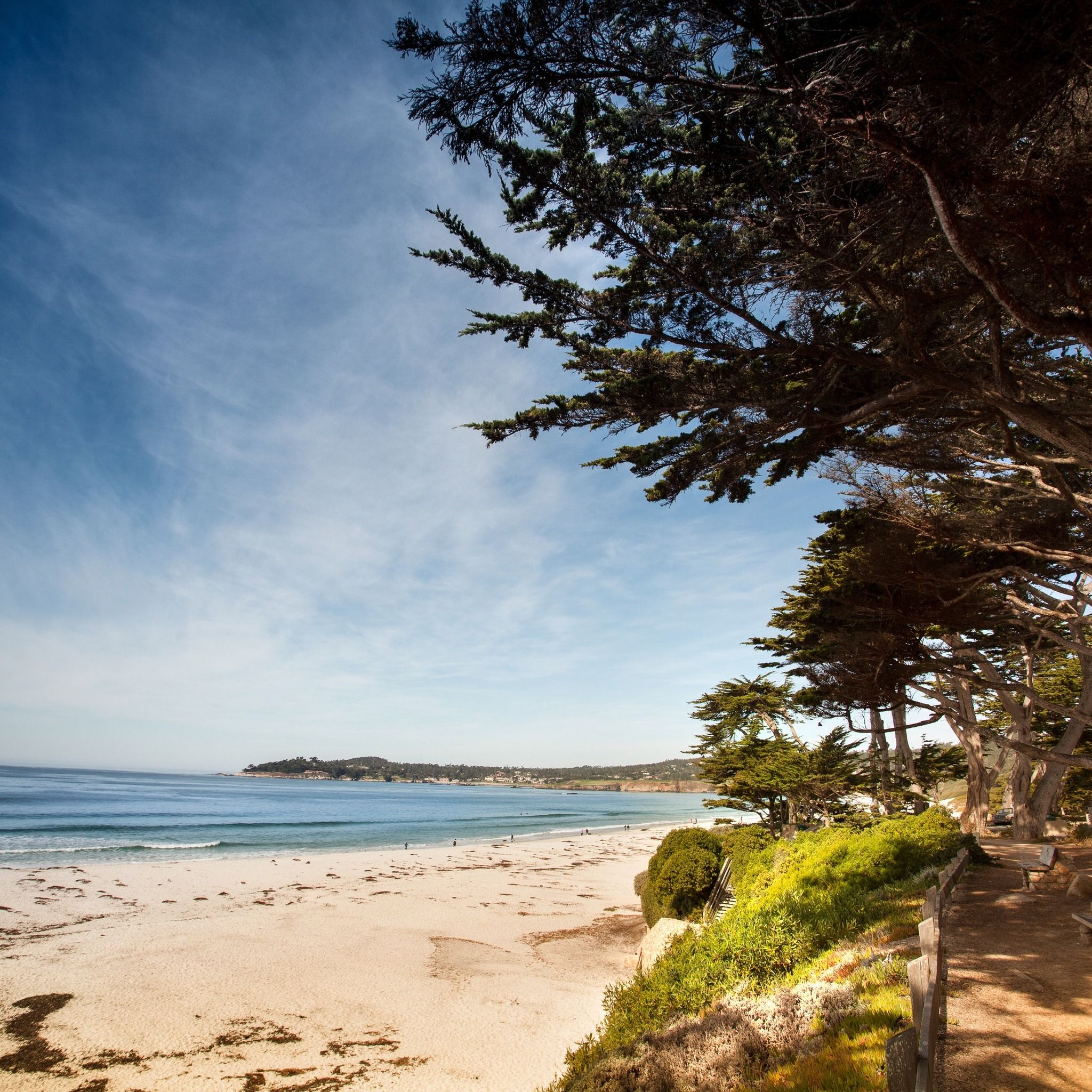 A quiet coastline with soft white sand sits below tall trees and natural green cliffs. Gentle waves roll in, giving the place a calm and peaceful charm. It’s a perfect spot for a scenic walk by the water.