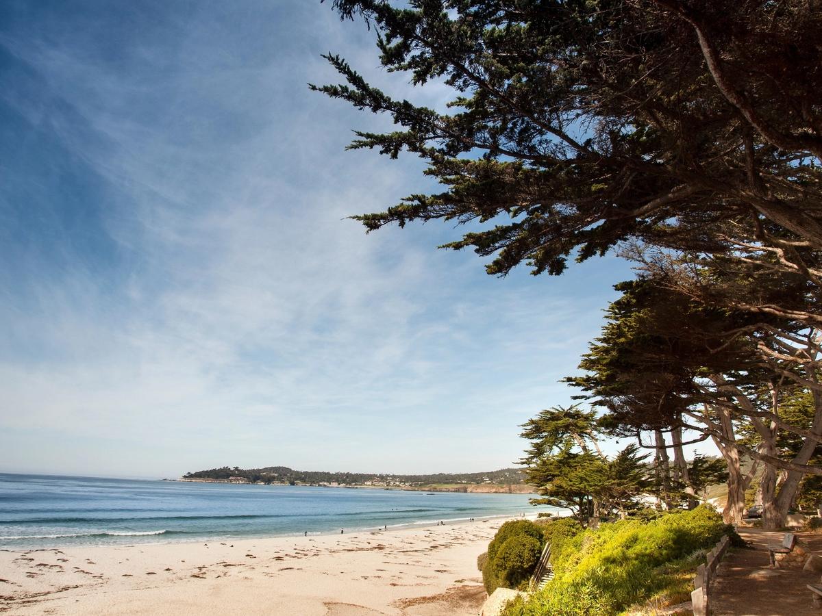 A quiet coastline with soft white sand sits below tall trees and natural green cliffs. Gentle waves roll in, giving the place a calm and peaceful charm. It’s a perfect spot for a scenic walk by the water.