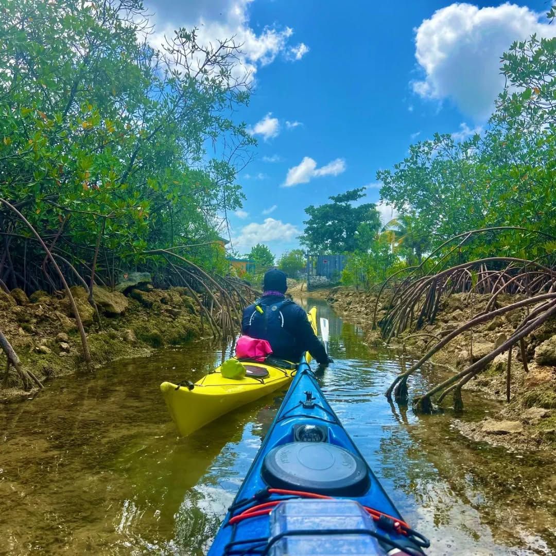 A kayaker paddles through calm, narrow waters lined with mangrove roots and bright blue skies overhead. It’s a peaceful glimpse into the untouched beauty of the Bahamian ecosystem.