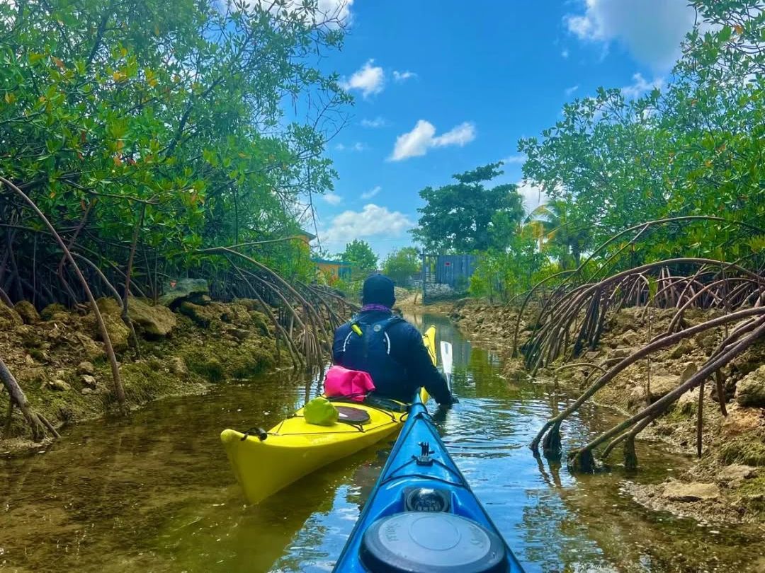 A kayaker paddles through calm, narrow waters lined with mangrove roots and bright blue skies overhead. It’s a peaceful glimpse into the untouched beauty of the Bahamian ecosystem.