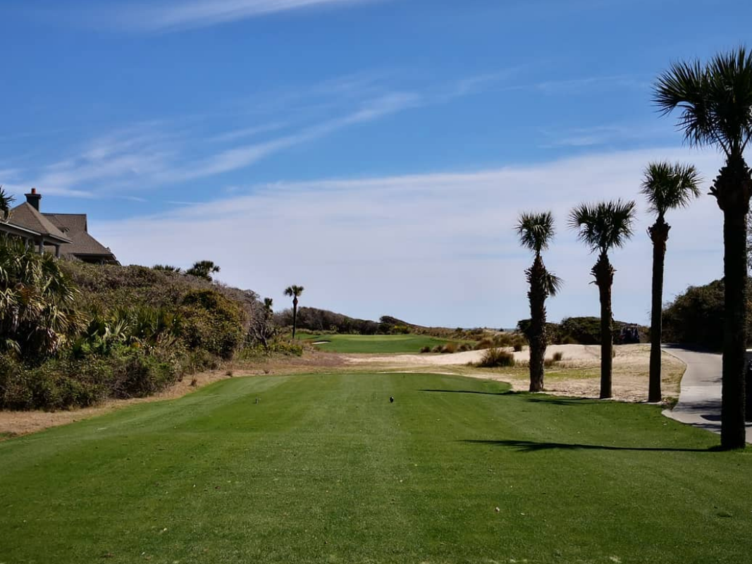 View of golf course with palm trees surrounding course