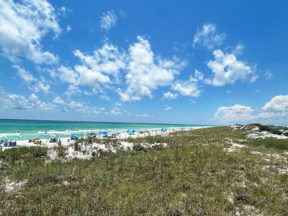 White sand dunes and emerald waters at Grayton Beach State Park on Florida's Scenic Highway 30A with beachgoers enjoying the Gulf Coast.