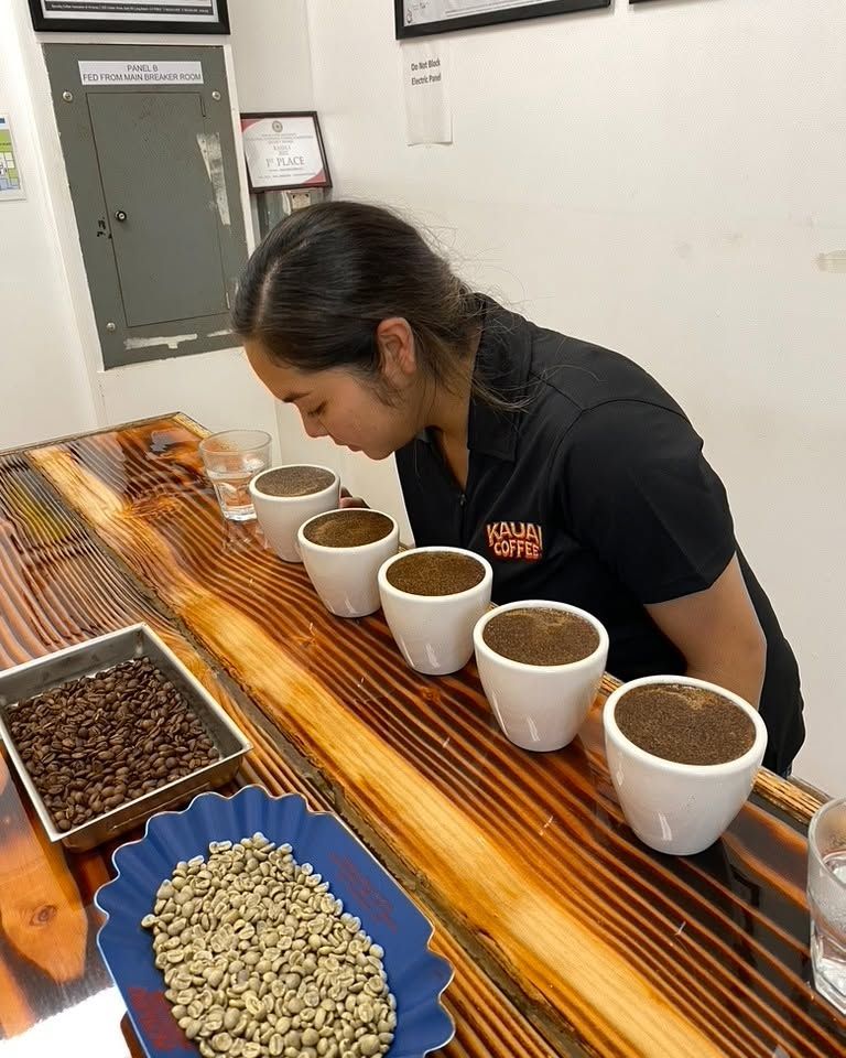 A Kauai Coffee Company staff member leans in to smell a row of freshly ground coffee samples during a cupping tasting session, with roasted and green coffee beans displayed on the wooden counter.