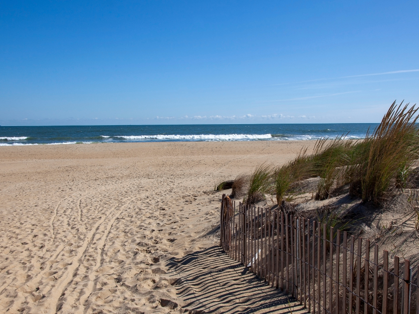 A peaceful morning view of Sandbridge Beach in Virginia, with soft sand, gentle waves, and dune grass swaying in the breeze. The clear blue sky and quiet shoreline make it perfect for a calm walk or relaxing beach day.