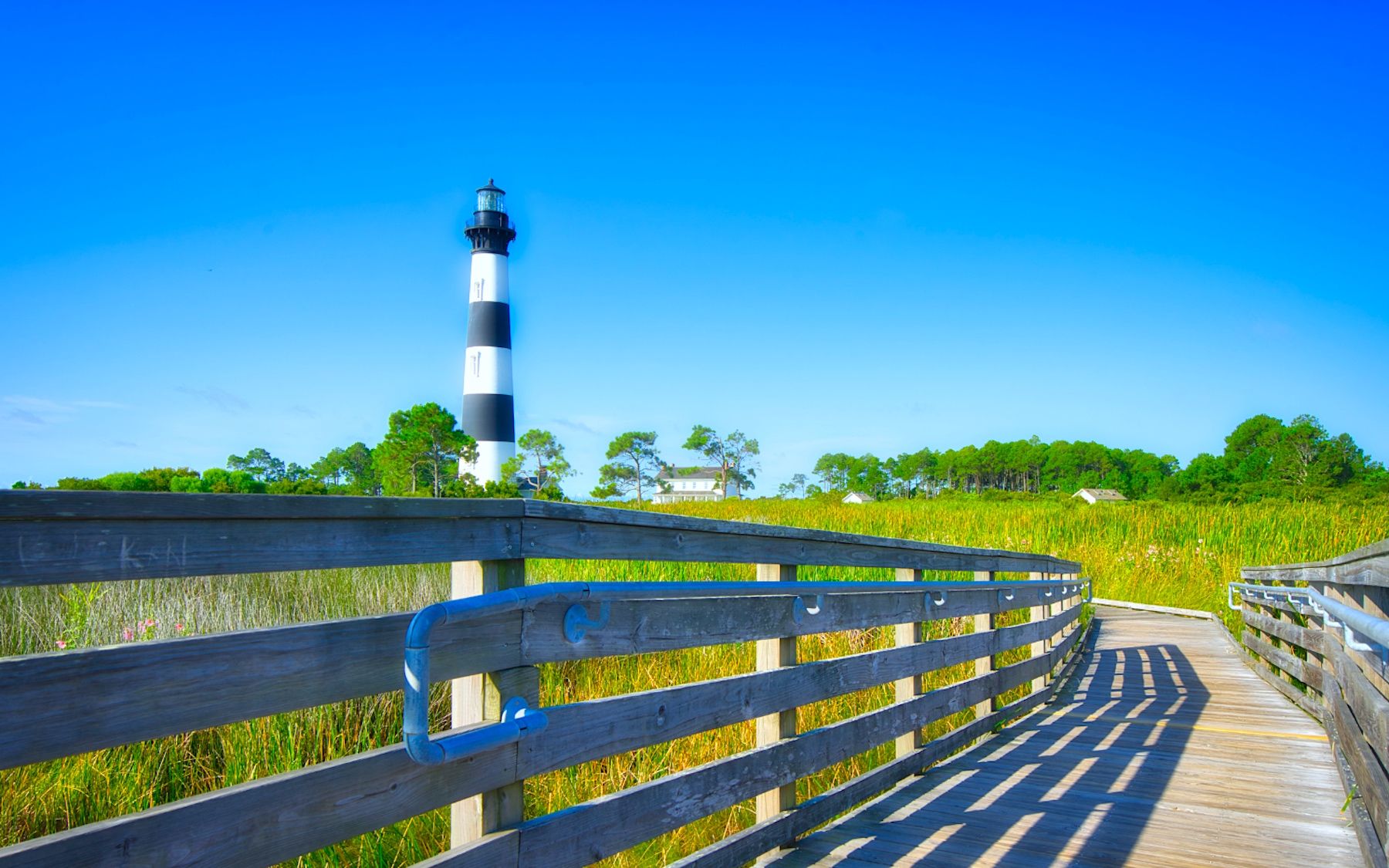 Boardwalk Landscape in the Outer Banks with Bodie Island Lighthouse in the background 