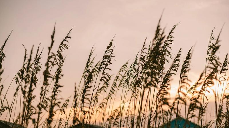 The Most Unique Things to do Near The Outer Banks
