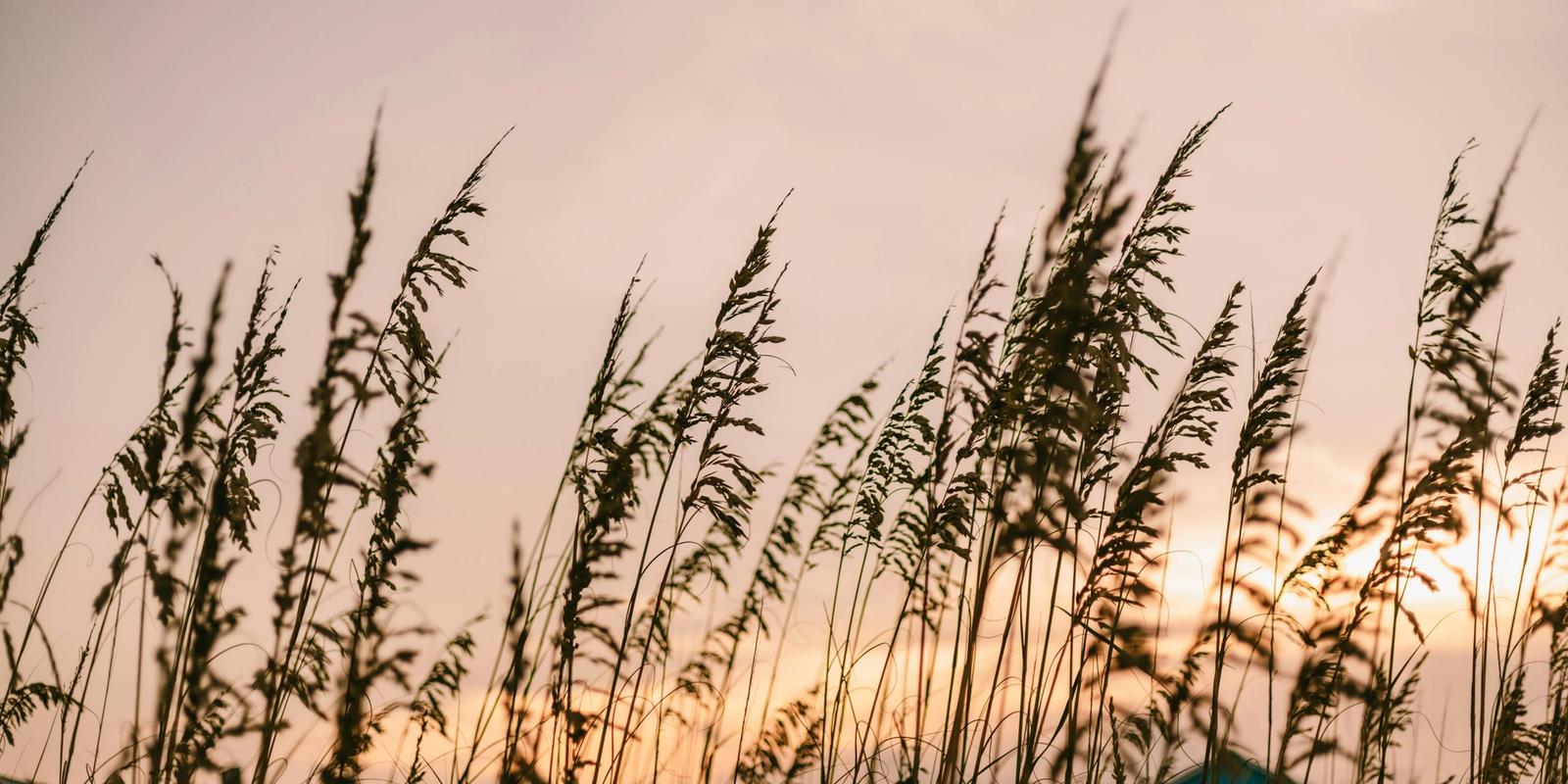 The Most Unique Things to do Near The Outer Banks