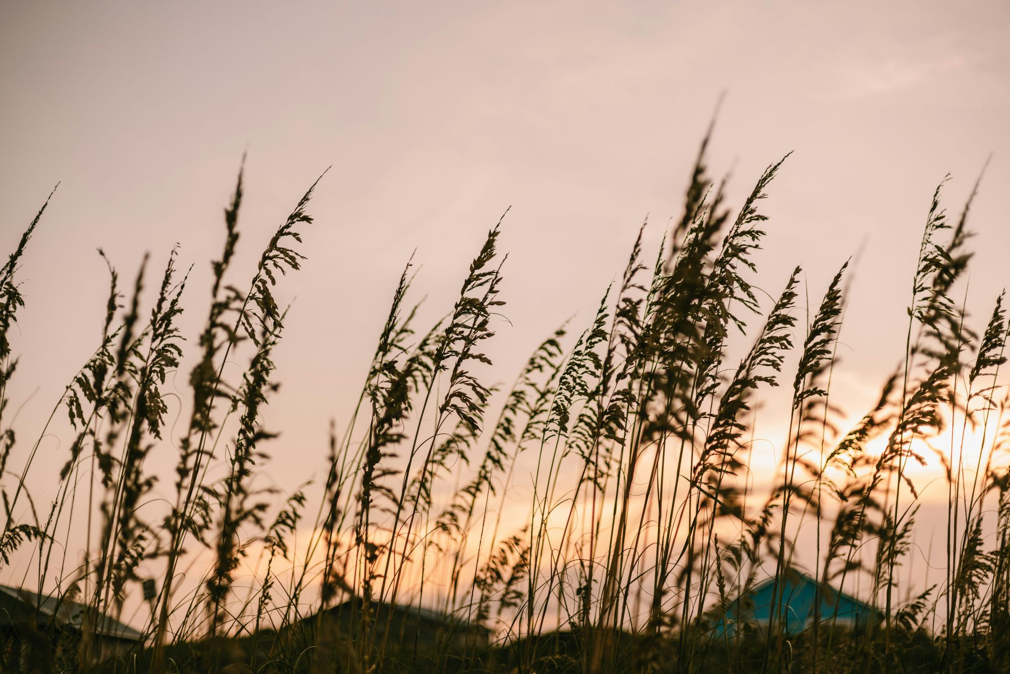 The Most Unique Things to do Near The Outer Banks