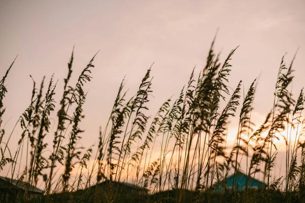 The Most Unique Things to do Near The Outer Banks
