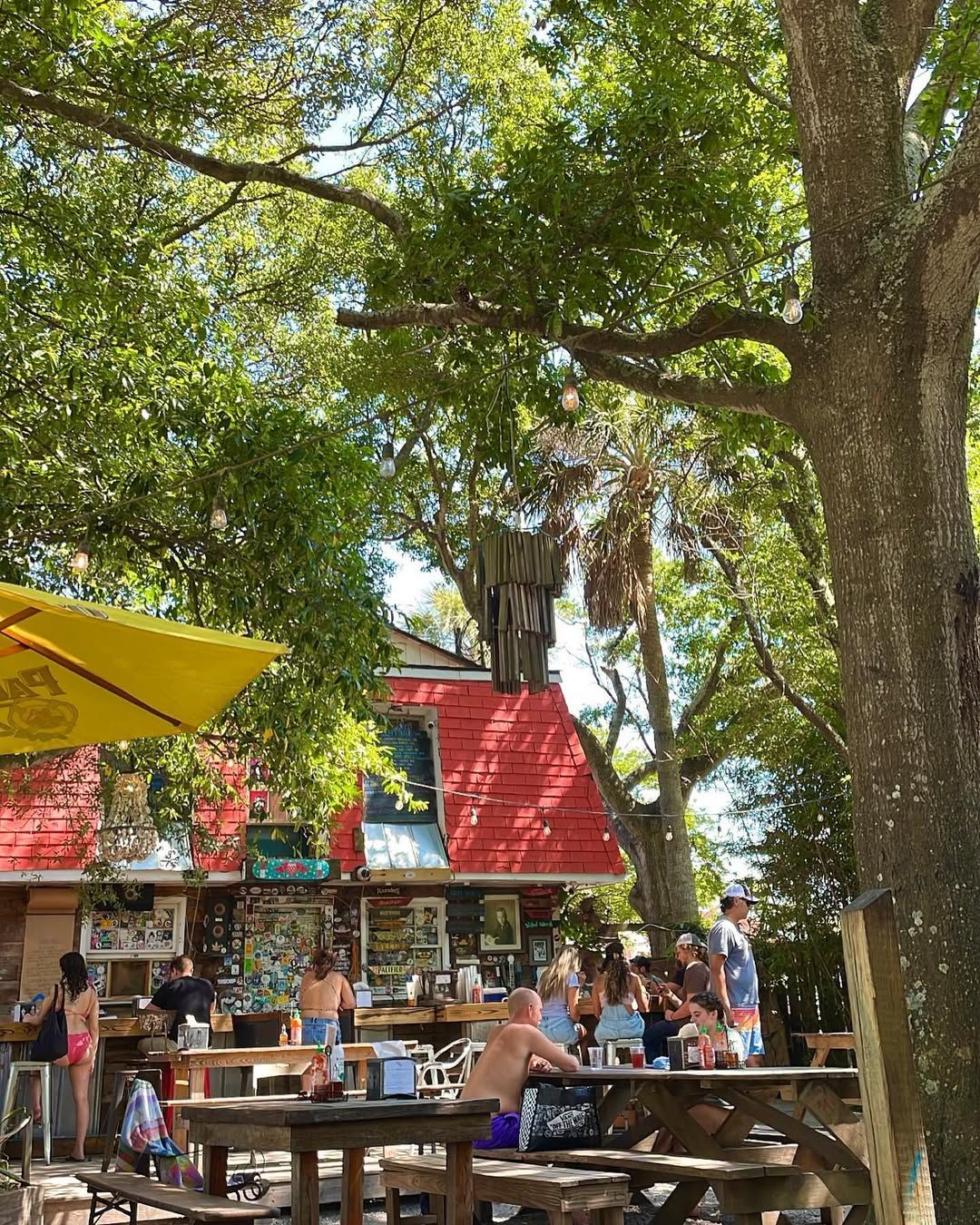Outdoor seating at Chico Feo with picnic tables under shady trees and string lights. Guests relax with drinks and food while enjoying live music and conversation. The casual outdoor setup gives this spot a true island bar feel.