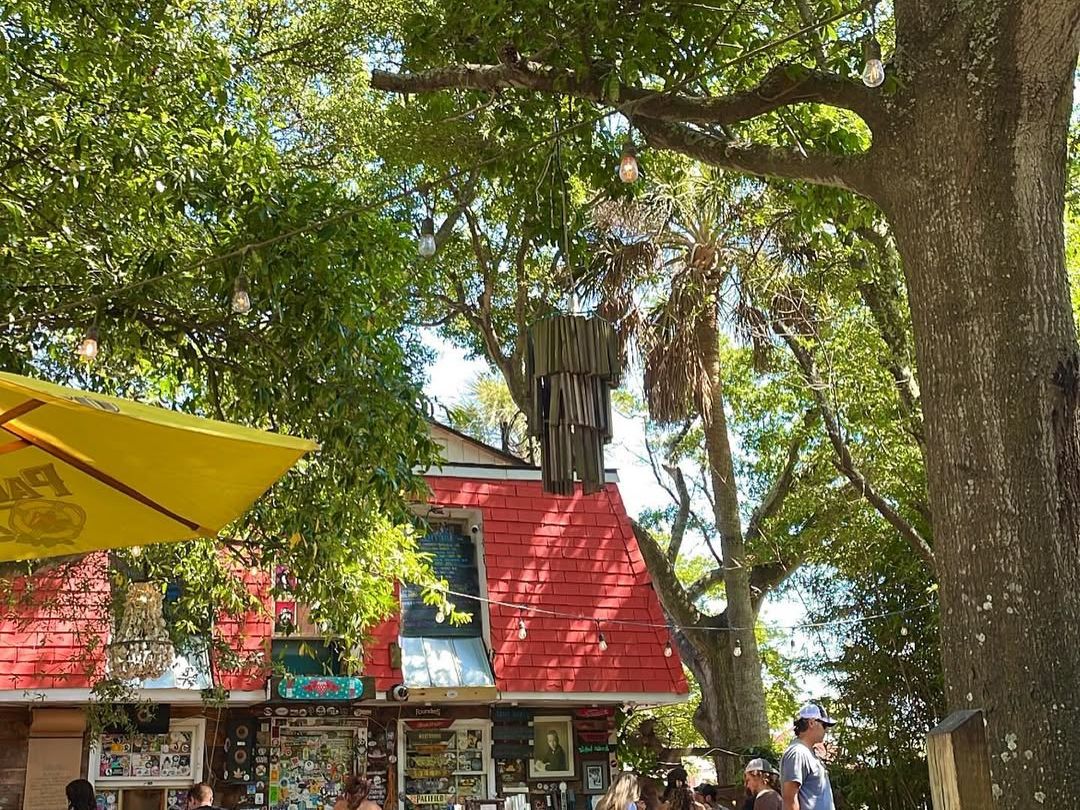 Outdoor seating at Chico Feo with picnic tables under shady trees and string lights. Guests relax with drinks and food while enjoying live music and conversation. The casual outdoor setup gives this spot a true island bar feel.