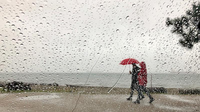 9 Things to Do Near Gulf Shores On A Rainy Day