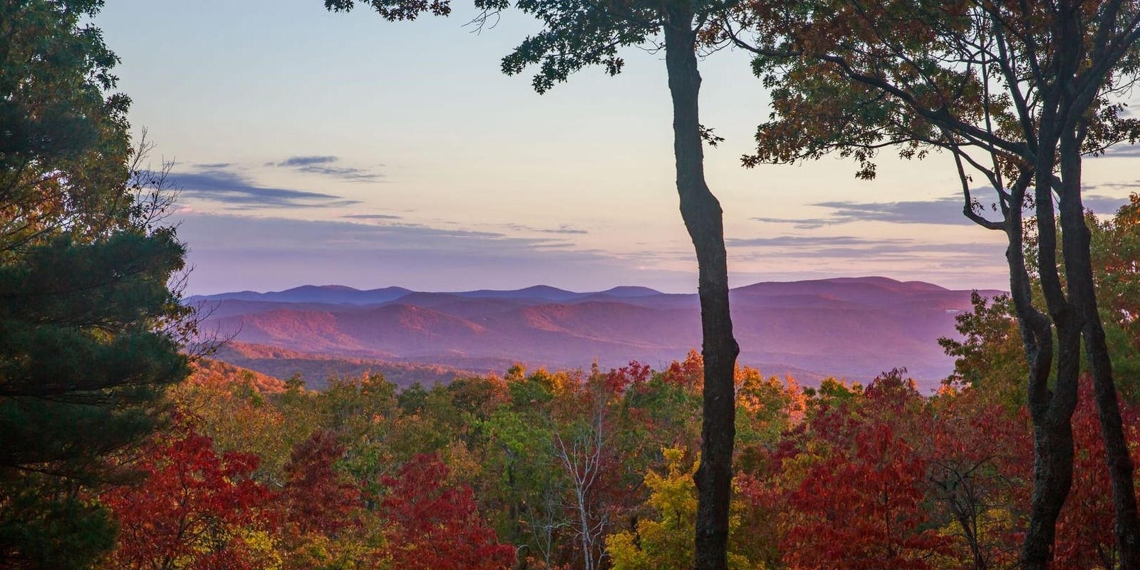 14 of the Best Cabins With Hot Tubs and Mountain Views