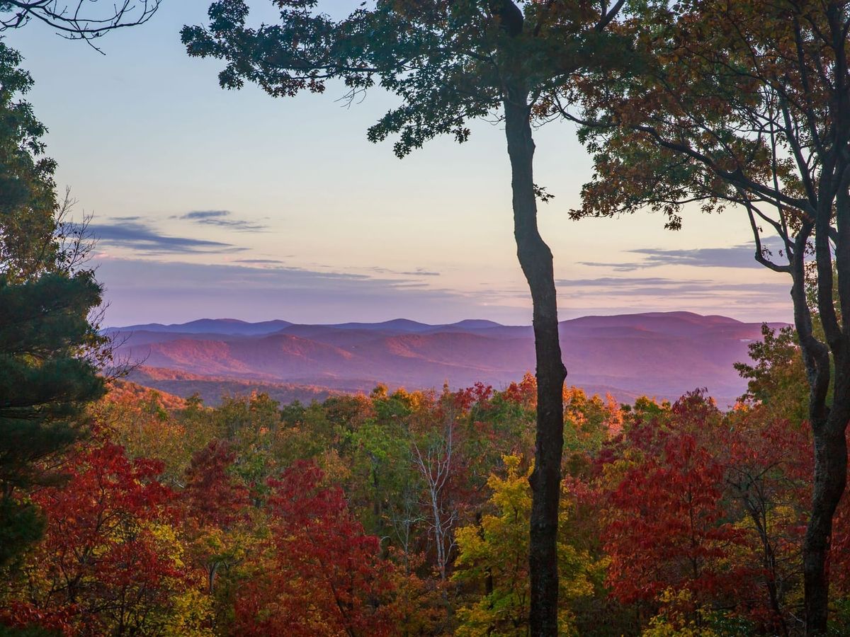 Autumn trees in rich shades of red, orange, and yellow frame a panoramic view of rolling purple mountains at sunset under a pastel sky.