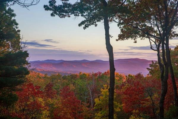14 of the Best Cabins With Hot Tubs and Mountain Views