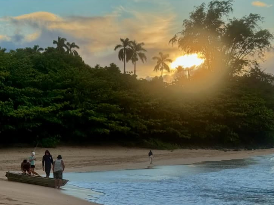 People getting into small boat at beach in Kauai with palm trees and tropical forest in back