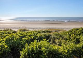 6 Kiawah Island Vacation Rentals That Serve Up Swoony Ocean Scenery—and Big-Time Luxury