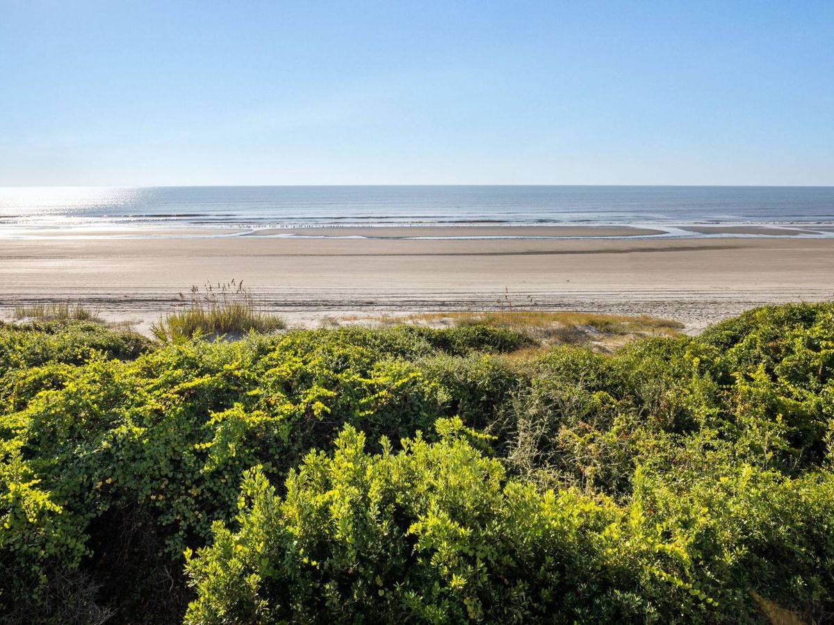 A pristine wide expanse of Kiawah Island beach stretches to the horizon under a clear blue sky, with lush native dune vegetation and sea oats in the foreground protecting the unspoiled South Carolina shoreline.
