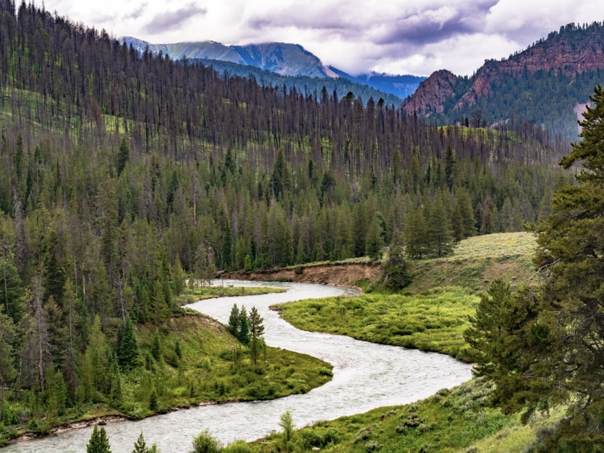 A winding river cuts through a lush green valley surrounded by dense forest and towering mountains under a cloudy sky.