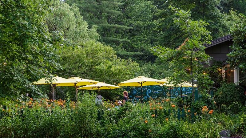 7 Excellent Dining Experiences in the Highlands, SC