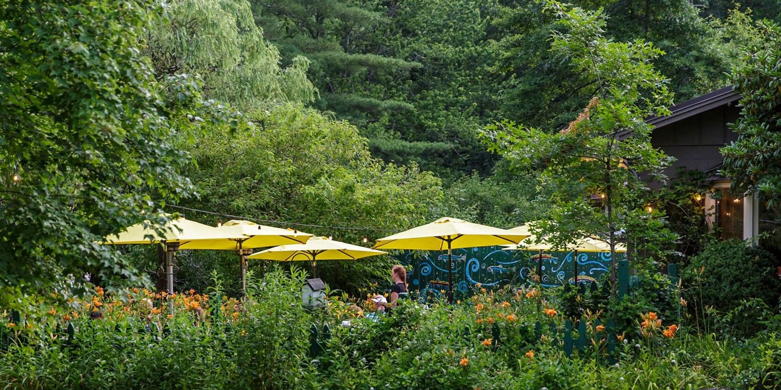 7 Excellent Dining Experiences in the Highlands, SC