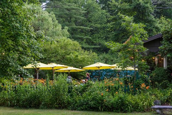 7 Excellent Dining Experiences in the Highlands, SC