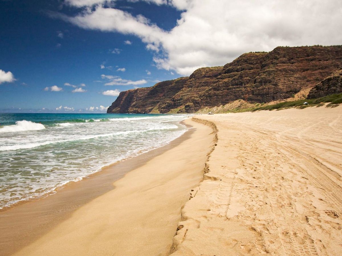 This beach scene shows soft white sand, bright turquoise water, and rows of umbrellas ready for a relaxed day in the sun. The green lawns and palm trees add a calm island vibe that makes the whole area feel inviting.