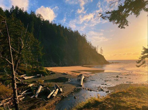 A peaceful stretch of coastline at Oswald West State Park, where forested cliffs meet a quiet sandy beach at sunset. This scenic view highlights one of the most beautiful natural areas near Cannon Beach for hiking, photography, and coastal walks.