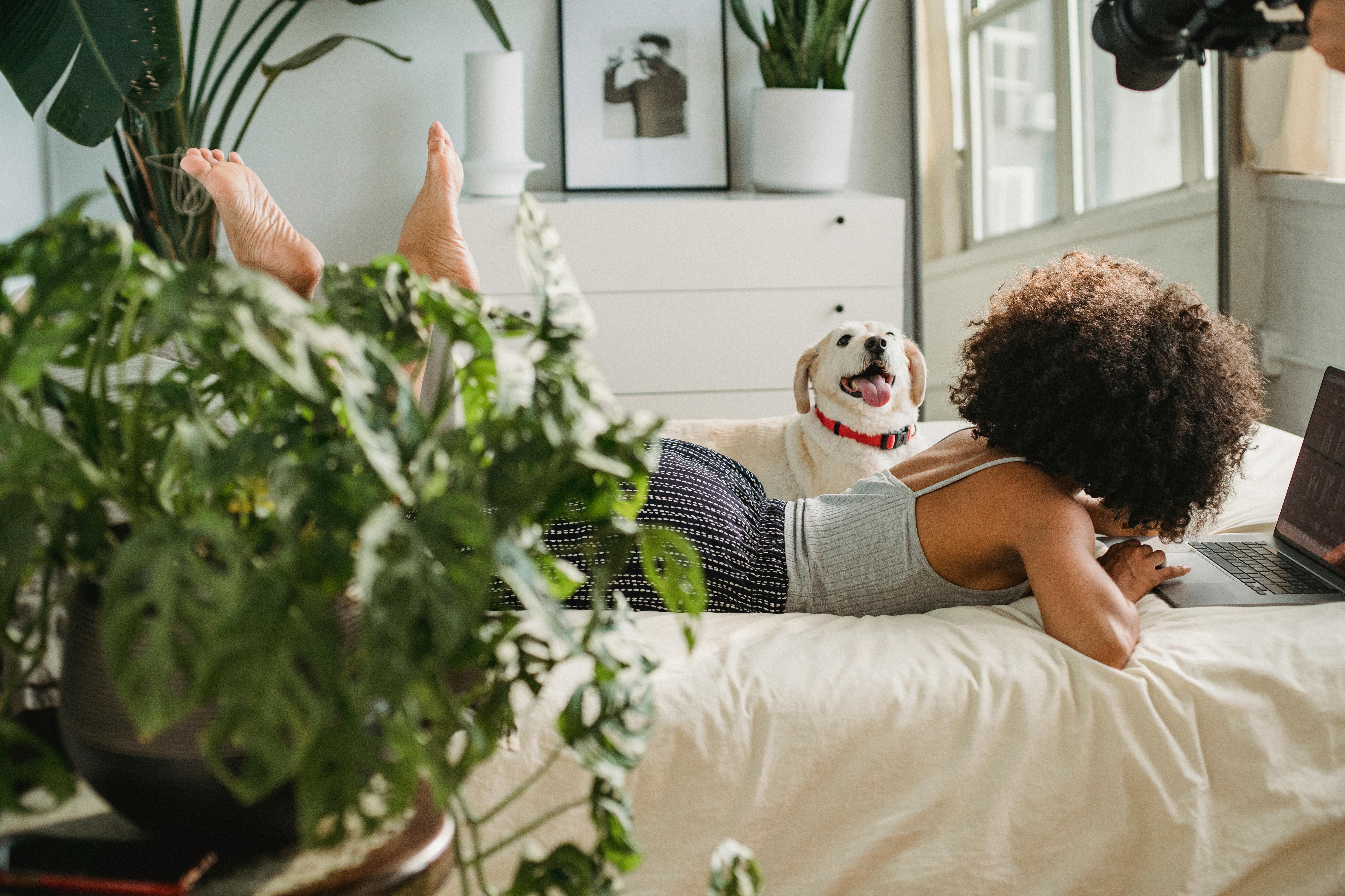 A woman relaxes on her bed with her laptop while her cheerful dog sits beside her, both surrounded by lush indoor plants. The cozy setup captures the comfort of a pet-friendly vacation rental where you can work or unwind with your furry friend.