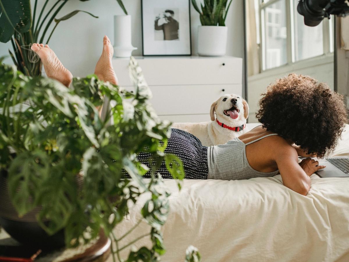 A woman relaxes on her bed with her laptop while her cheerful dog sits beside her, both surrounded by lush indoor plants. The cozy setup captures the comfort of a pet-friendly vacation rental where you can work or unwind with your furry friend.