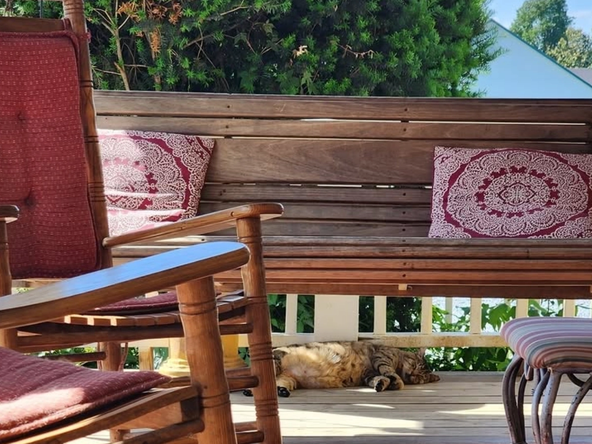 A cozy porch scene at the Smoky Mountain Cat House with wooden rocking chairs, a cushioned swing, and a cat lounging in the shade beneath.